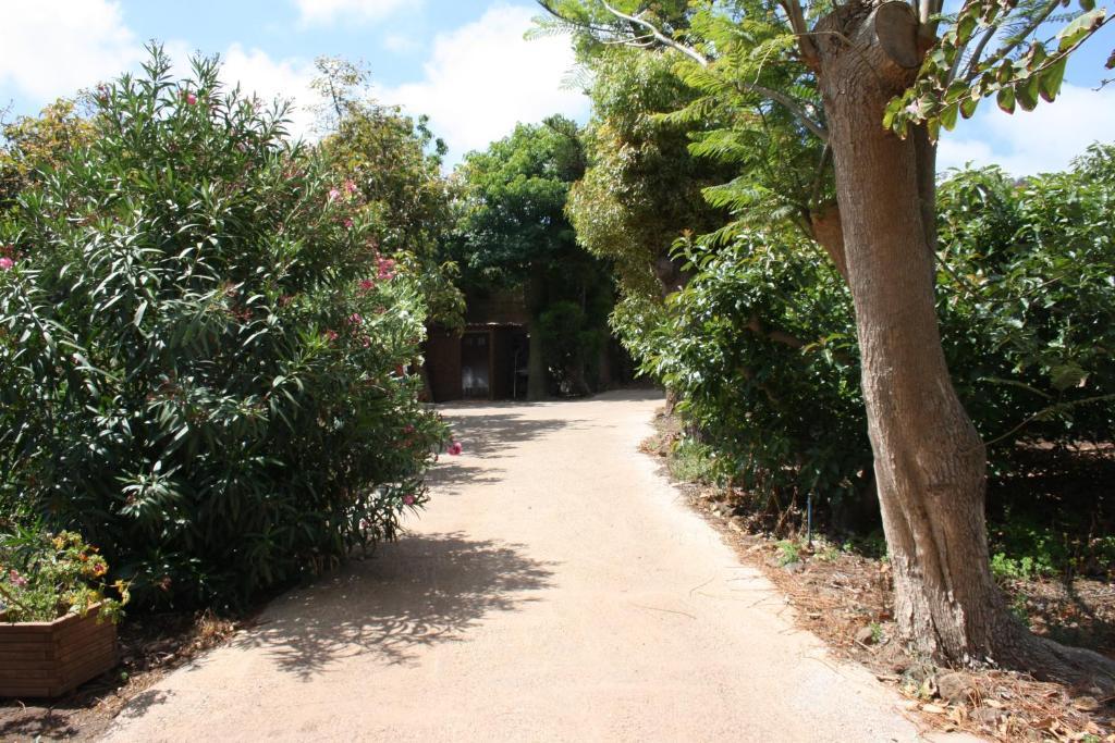 Tegueste Finca El Vergel Rural מראה חיצוני תמונה