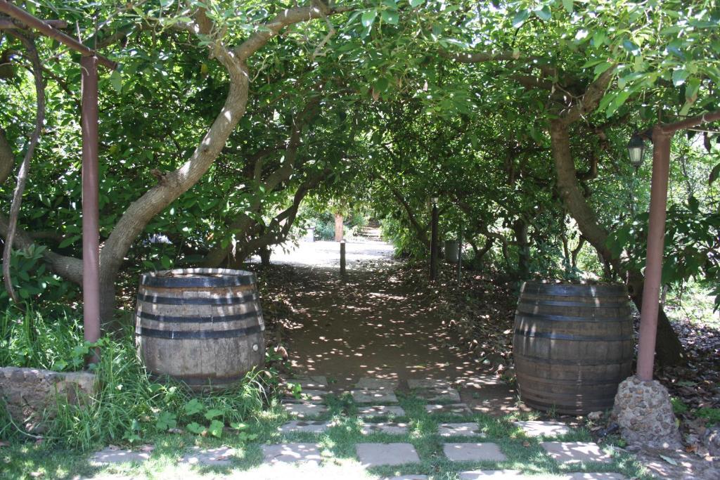 Tegueste Finca El Vergel Rural מראה חיצוני תמונה