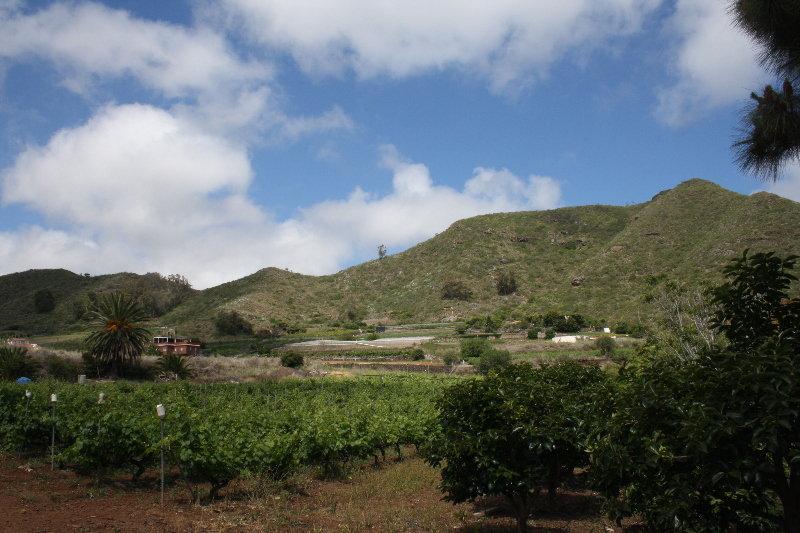 Tegueste Finca El Vergel Rural מראה חיצוני תמונה