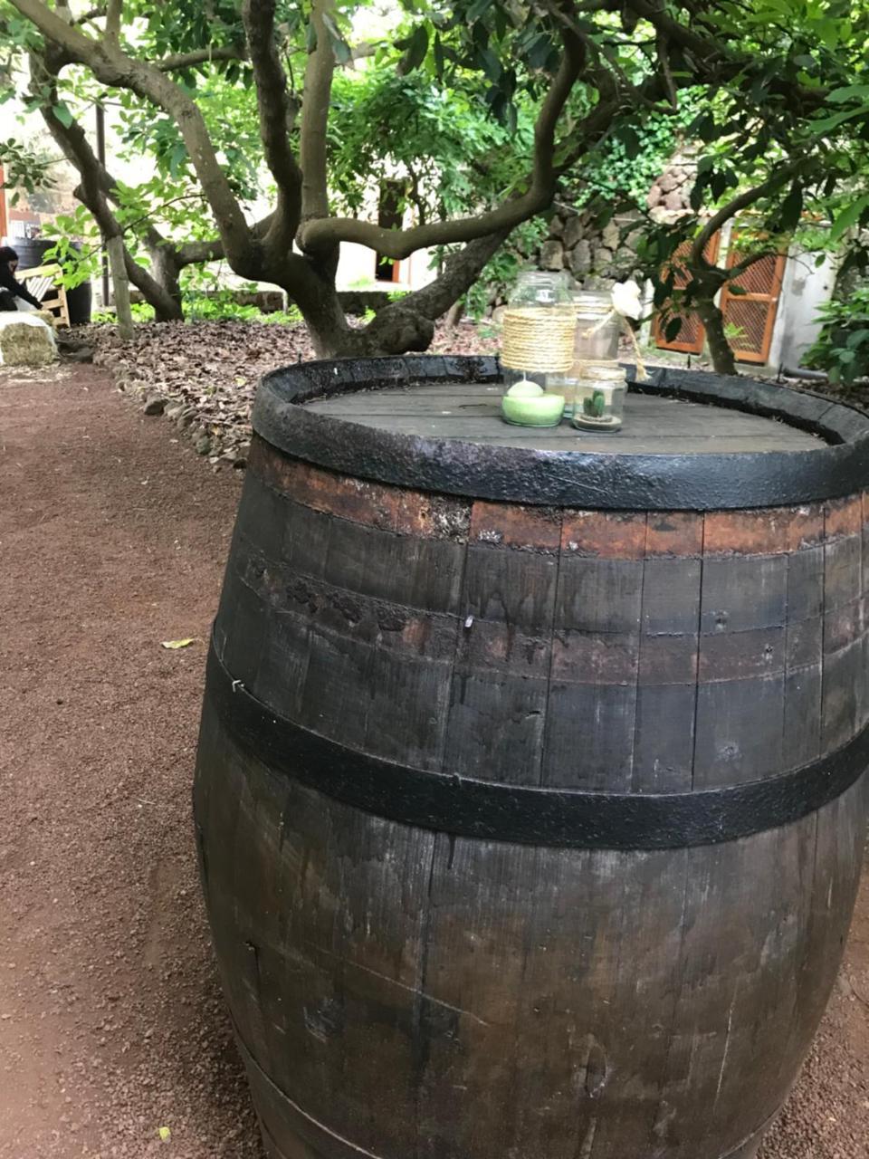 Tegueste Finca El Vergel Rural מראה חיצוני תמונה