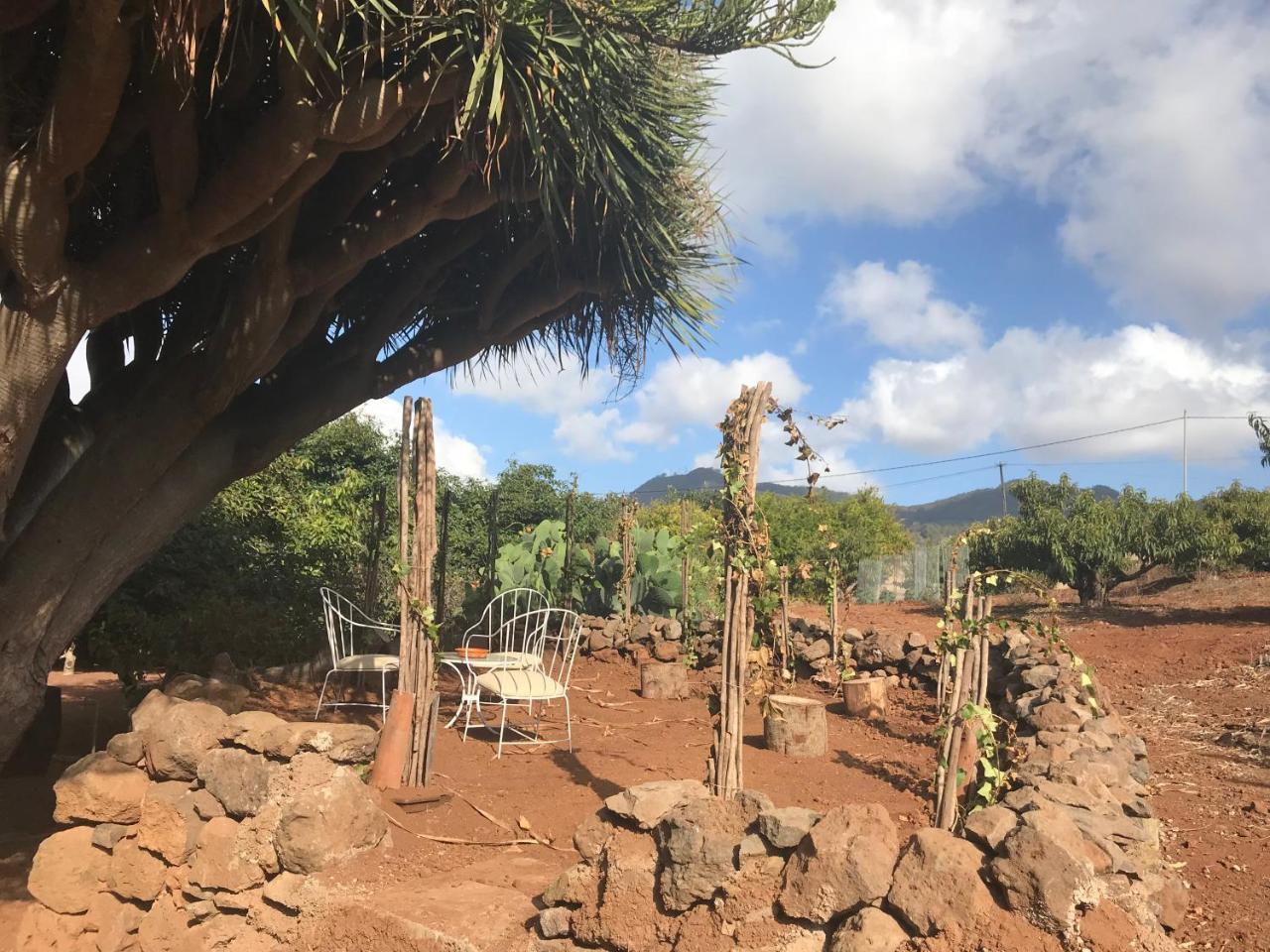 Tegueste Finca El Vergel Rural מראה חיצוני תמונה